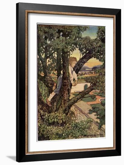 Boy in a Tree, 1905-Jessie Willcox-Smith-Framed Giclee Print