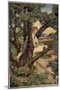 Boy in a Tree, 1905-Jessie Willcox-Smith-Mounted Giclee Print