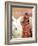 Boy in Costume with Llamas, Cuzco, Peru-Bill Bachmann-Framed Photographic Print