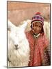 Boy in Costume with Llamas, Cuzco, Peru-Bill Bachmann-Mounted Photographic Print