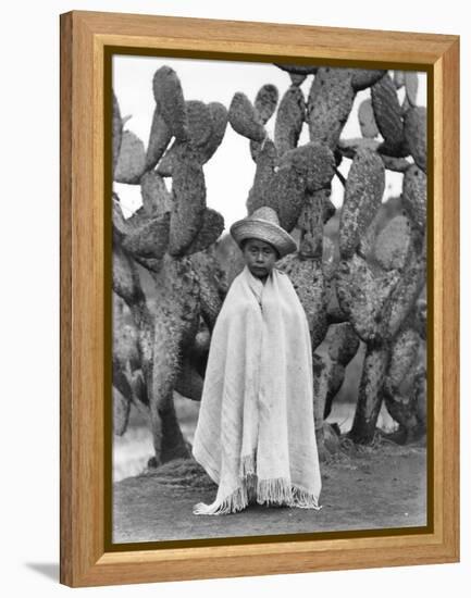 Boy in Front of a Cactus, State of Veracruz, Mexico, 1927-Tina Modotti-Framed Premier Image Canvas