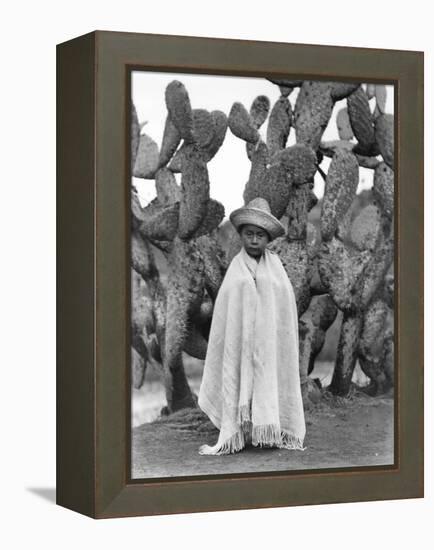 Boy in Front of a Cactus, State of Veracruz, Mexico, 1927-Tina Modotti-Framed Premier Image Canvas