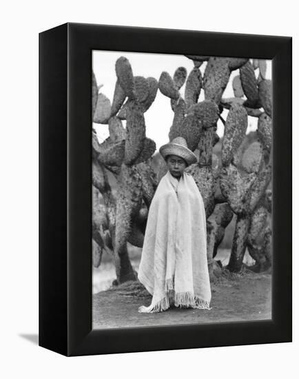 Boy in Front of a Cactus, State of Veracruz, Mexico, 1927-Tina Modotti-Framed Premier Image Canvas