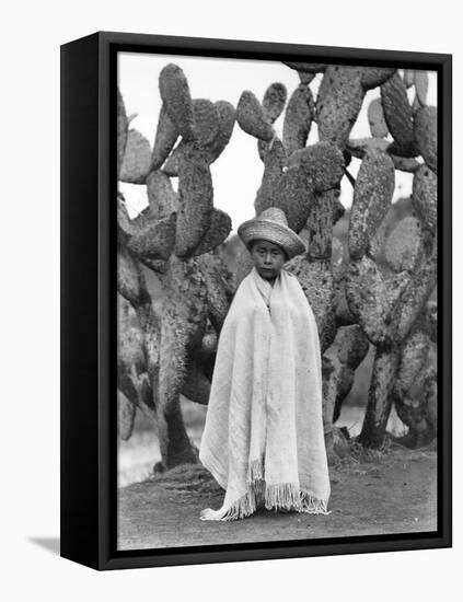 Boy in Front of a Cactus, State of Veracruz, Mexico, 1927-Tina Modotti-Framed Premier Image Canvas