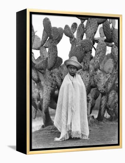 Boy in Front of a Cactus, State of Veracruz, Mexico, 1927-Tina Modotti-Framed Premier Image Canvas