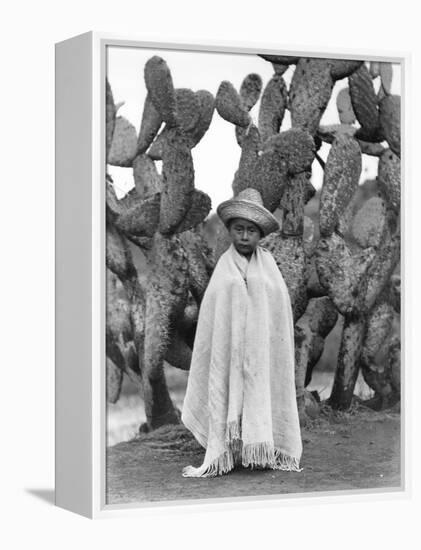 Boy in Front of a Cactus, State of Veracruz, Mexico, 1927-Tina Modotti-Framed Premier Image Canvas