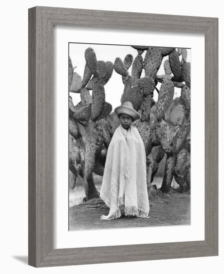 Boy in Front of a Cactus, State of Veracruz, Mexico, 1927-Tina Modotti-Framed Photographic Print