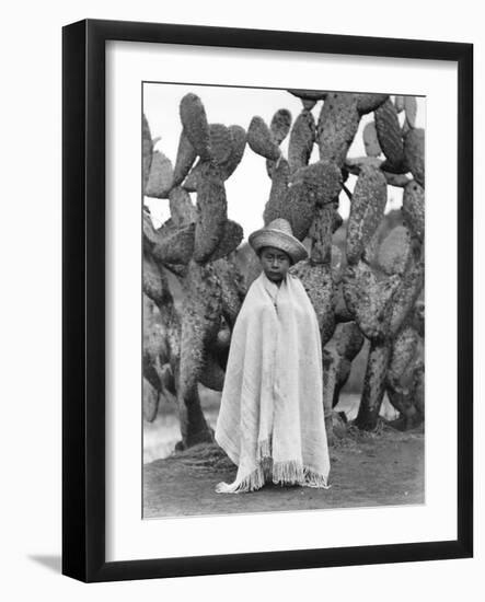 Boy in Front of a Cactus, State of Veracruz, Mexico, 1927-Tina Modotti-Framed Photographic Print