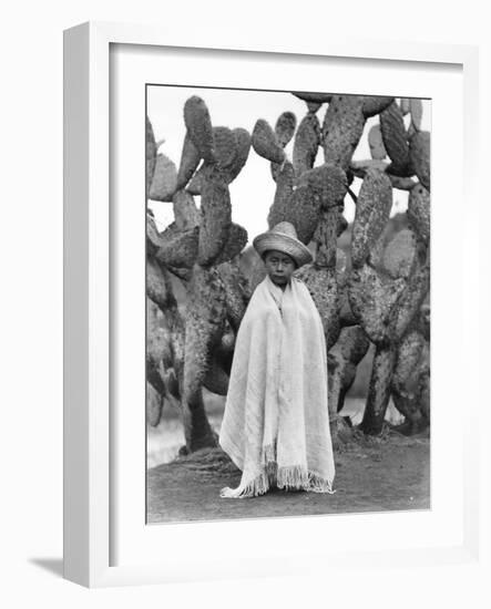 Boy in Front of a Cactus, State of Veracruz, Mexico, 1927-Tina Modotti-Framed Photographic Print