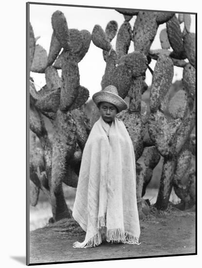 Boy in Front of a Cactus, State of Veracruz, Mexico, 1927-Tina Modotti-Mounted Photographic Print