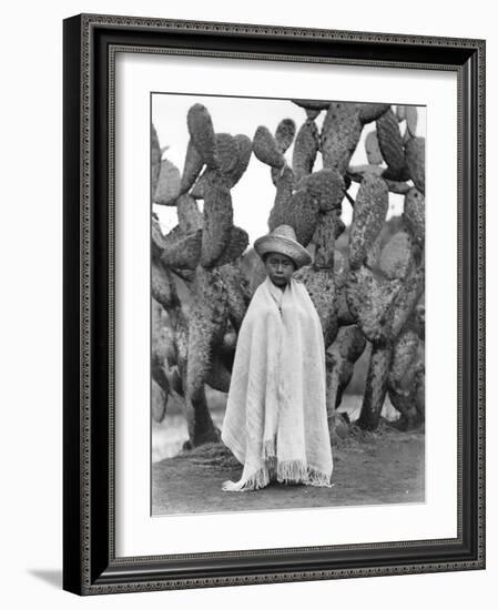 Boy in Front of a Cactus, State of Veracruz, Mexico, 1927-Tina Modotti-Framed Photographic Print