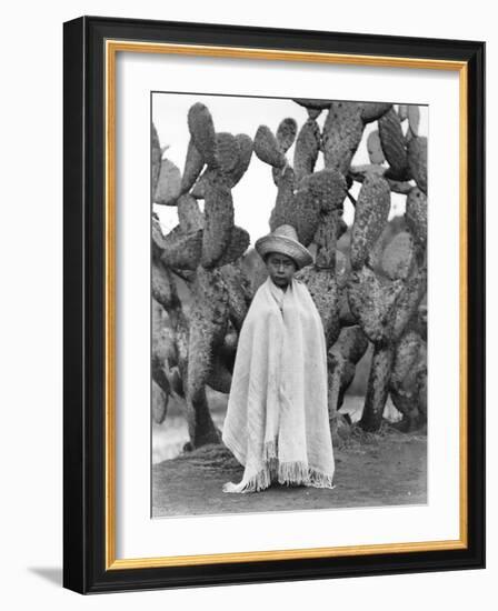 Boy in Front of a Cactus, State of Veracruz, Mexico, 1927-Tina Modotti-Framed Photographic Print