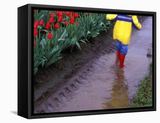 Boy Jumping through Mud Puddles along Tulip Fields, Willamette Valley, Oregon, USA-Janis Miglavs-Framed Premier Image Canvas