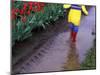 Boy Jumping through Mud Puddles along Tulip Fields, Willamette Valley, Oregon, USA-Janis Miglavs-Mounted Photographic Print