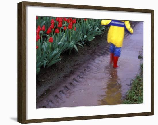 Boy Jumping through Mud Puddles along Tulip Fields, Willamette Valley, Oregon, USA-Janis Miglavs-Framed Photographic Print