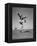 Boy Kicking a Football-Bettmann-Framed Premier Image Canvas