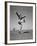 Boy Kicking a Football-Bettmann-Framed Photographic Print