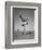 Boy Kicking a Football-Bettmann-Framed Photographic Print