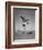 Boy Kicking a Football-Bettmann-Framed Photographic Print