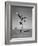 Boy Kicking a Football-Bettmann-Framed Photographic Print