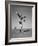 Boy Kicking a Football-Bettmann-Framed Photographic Print