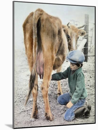 Boy Milking Cow-Nora Hernandez-Mounted Giclee Print