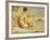 Boy on a Beach, 1912-Henry Scott Tuke-Framed Giclee Print