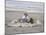 Boy on Beach-Nora Hernandez-Mounted Giclee Print