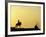 Boy on Horseback at the Beach Village of M! Ncora, in Northern Peru-Andrew Watson-Framed Photographic Print