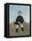 Boy on the Rocks, 1895-97-Henri Rousseau-Framed Premier Image Canvas