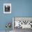 Boy Playing a Game of Little League Baseball-Yale Joel-Framed Photographic Print displayed on a wall