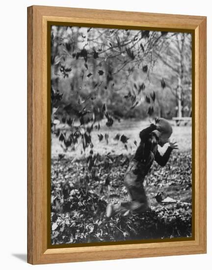 Boy Playing in a Pile of Autumn Leaves-Allan Grant-Framed Premier Image Canvas