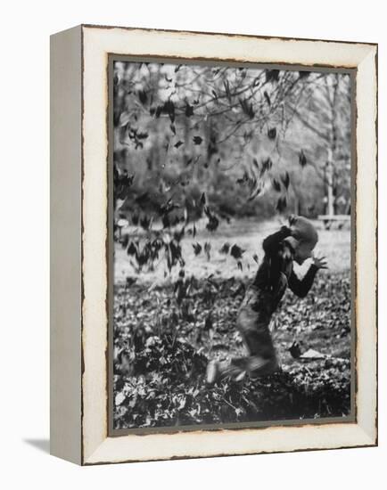 Boy Playing in a Pile of Autumn Leaves-Allan Grant-Framed Premier Image Canvas