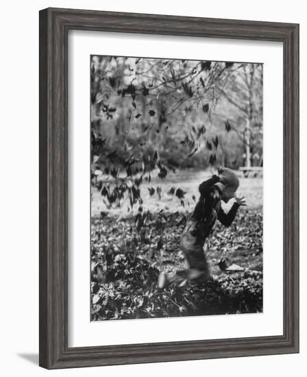 Boy Playing in a Pile of Autumn Leaves-Allan Grant-Framed Photographic Print