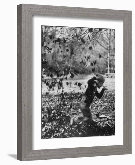 Boy Playing in a Pile of Autumn Leaves-Allan Grant-Framed Photographic Print