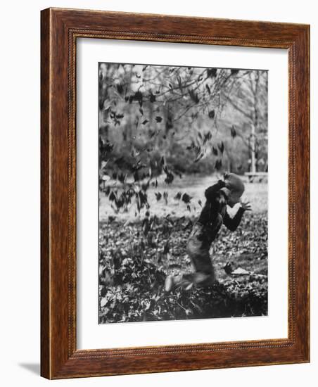 Boy Playing in a Pile of Autumn Leaves-Allan Grant-Framed Photographic Print