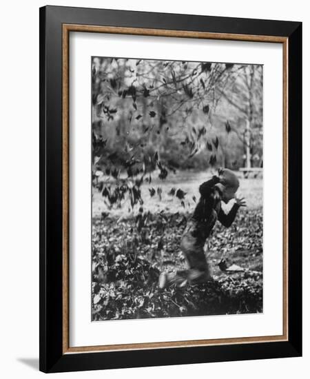 Boy Playing in a Pile of Autumn Leaves-Allan Grant-Framed Photographic Print