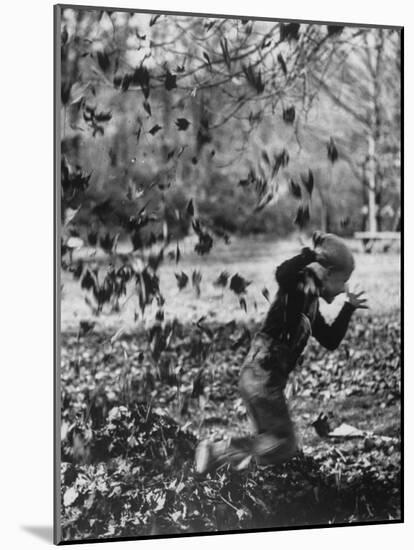 Boy Playing in a Pile of Autumn Leaves-Allan Grant-Mounted Photographic Print
