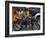 Boy Rides a Motorbike with Four Girls, as it Drizzles in Hyderabad, India-null-Framed Photographic Print