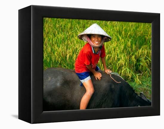 Boy Riding Water Buffalo, Mekong Delta, Vietnam-Keren Su-Framed Premier Image Canvas