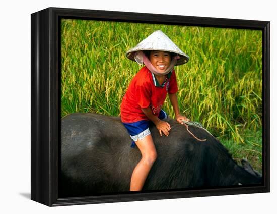 Boy Riding Water Buffalo, Mekong Delta, Vietnam-Keren Su-Framed Premier Image Canvas