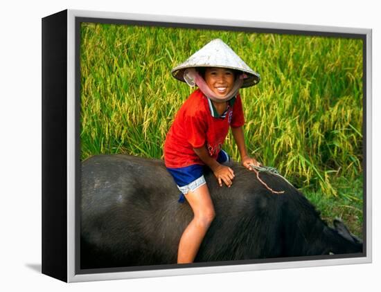 Boy Riding Water Buffalo, Mekong Delta, Vietnam-Keren Su-Framed Premier Image Canvas