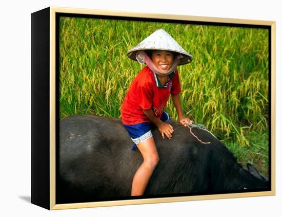 Boy Riding Water Buffalo, Mekong Delta, Vietnam-Keren Su-Framed Premier Image Canvas