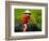 Boy Riding Water Buffalo, Mekong Delta, Vietnam-Keren Su-Framed Photographic Print