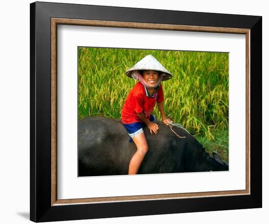 Boy Riding Water Buffalo, Mekong Delta, Vietnam-Keren Su-Framed Photographic Print