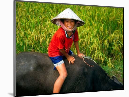 Boy Riding Water Buffalo, Mekong Delta, Vietnam-Keren Su-Mounted Photographic Print