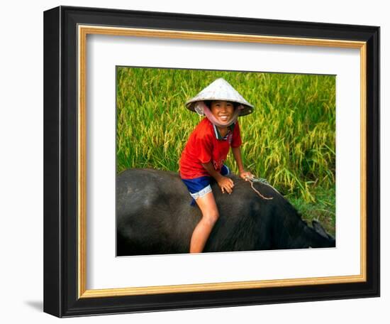 Boy Riding Water Buffalo, Mekong Delta, Vietnam-Keren Su-Framed Photographic Print