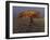 Boy Running Outside Bird's Nest, Beijing, China-null-Framed Photographic Print