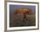 Boy Running Outside Bird's Nest, Beijing, China-null-Framed Photographic Print