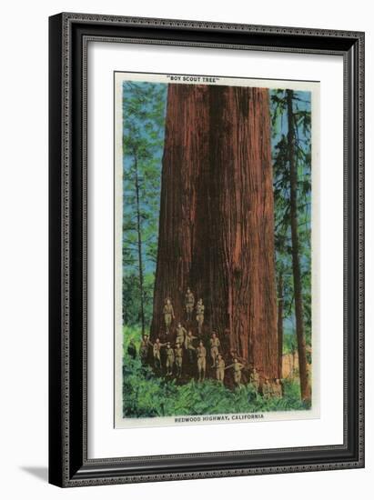 Boy Scout Tree on Redwood Highway - Redwoods, CA-Lantern Press-Framed Premium Giclee Print